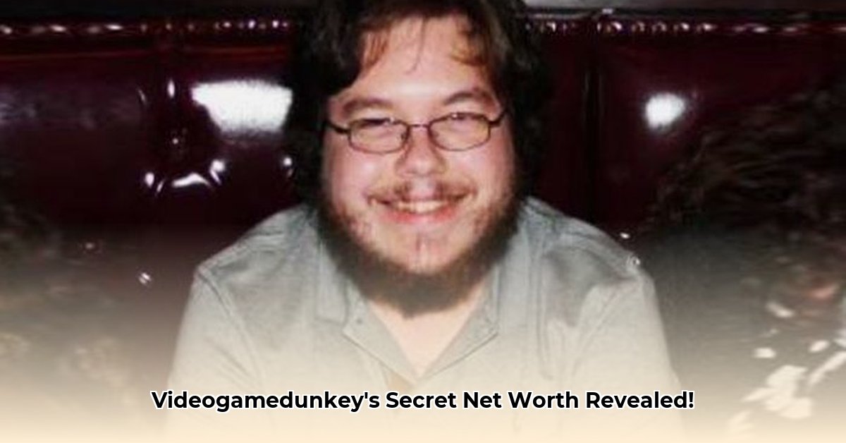 video-game-dunkey-net-worth